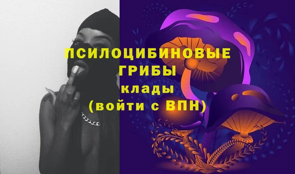 меф Богородицк