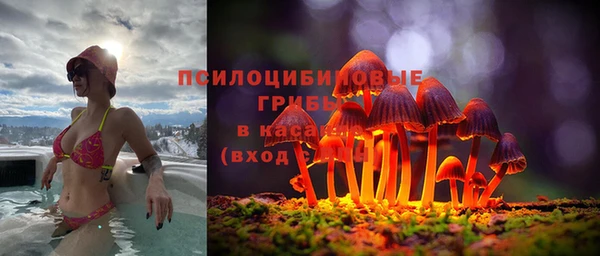 меф Богородицк